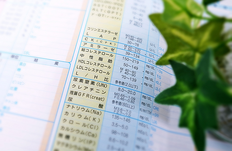 新潟県糖尿病対策推進会議